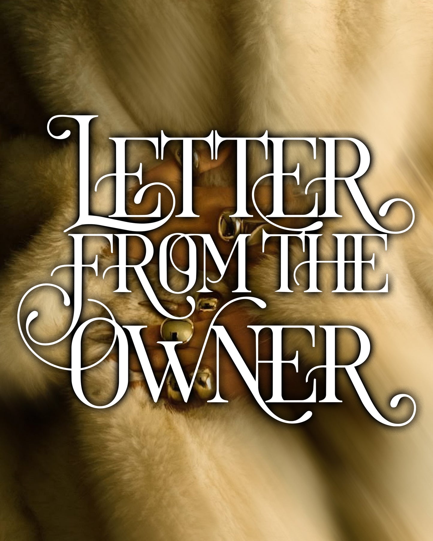 Letter from the Owner: Nine Years Ago, It All Began…