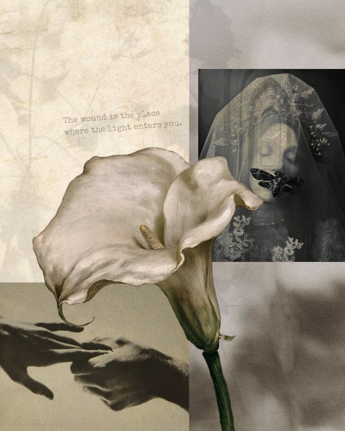 The History of Memento Mori