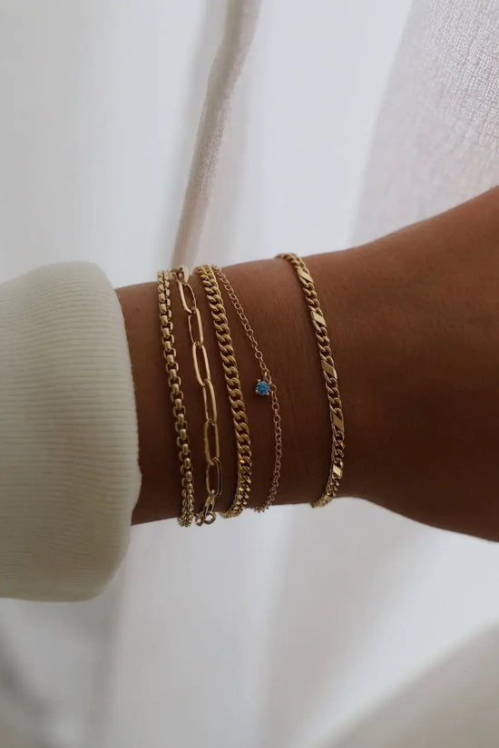 Holland Round Box Chain Bracelet in Gold