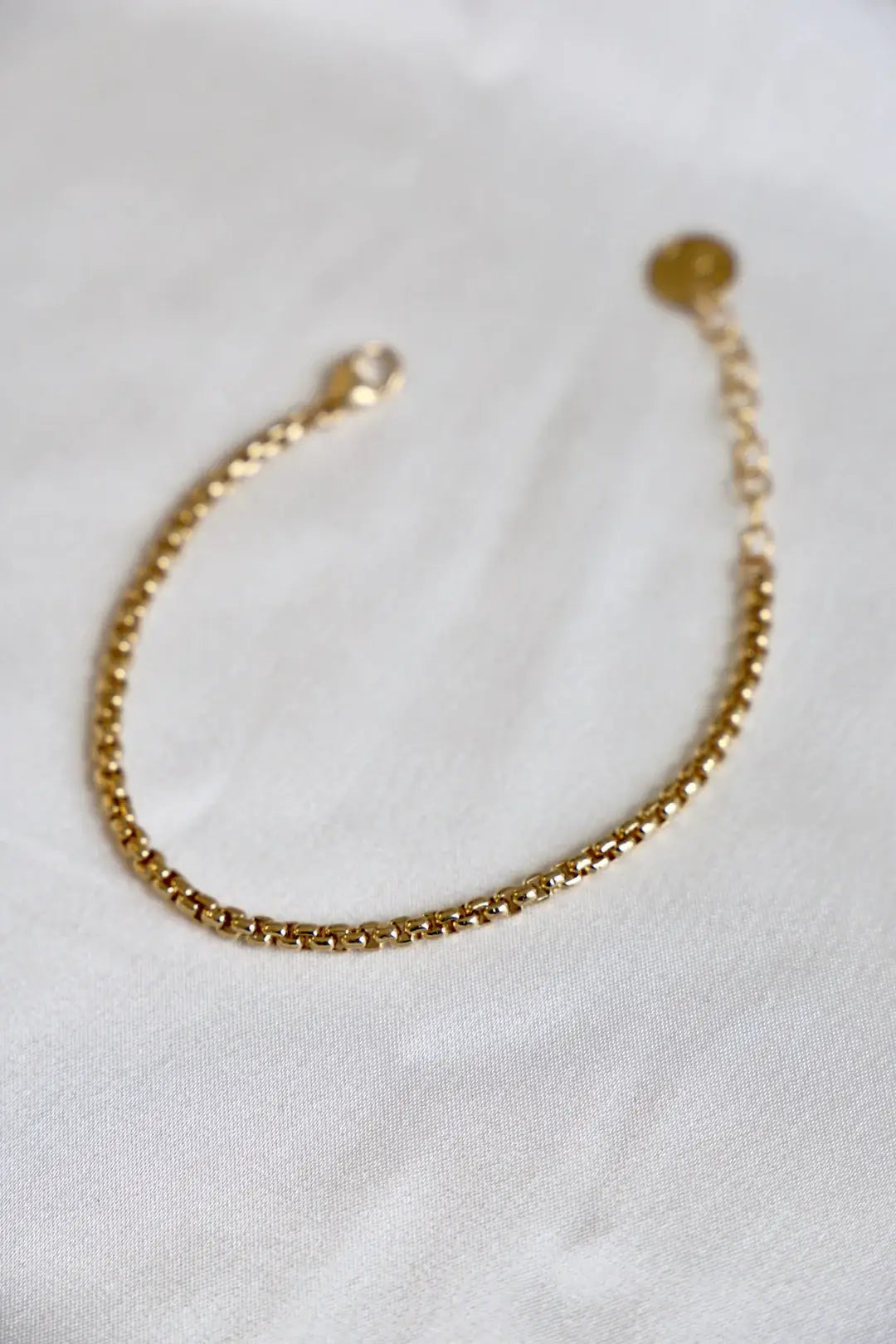 Holland Round Box Chain Bracelet in Gold