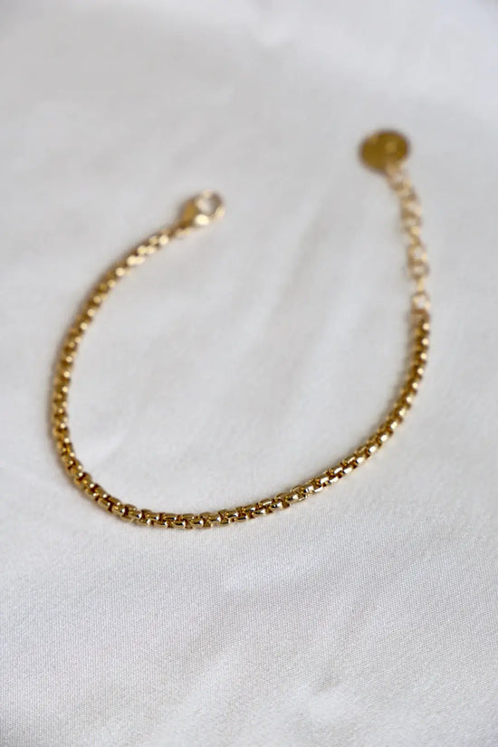 Holland Round Box Chain Bracelet in Gold