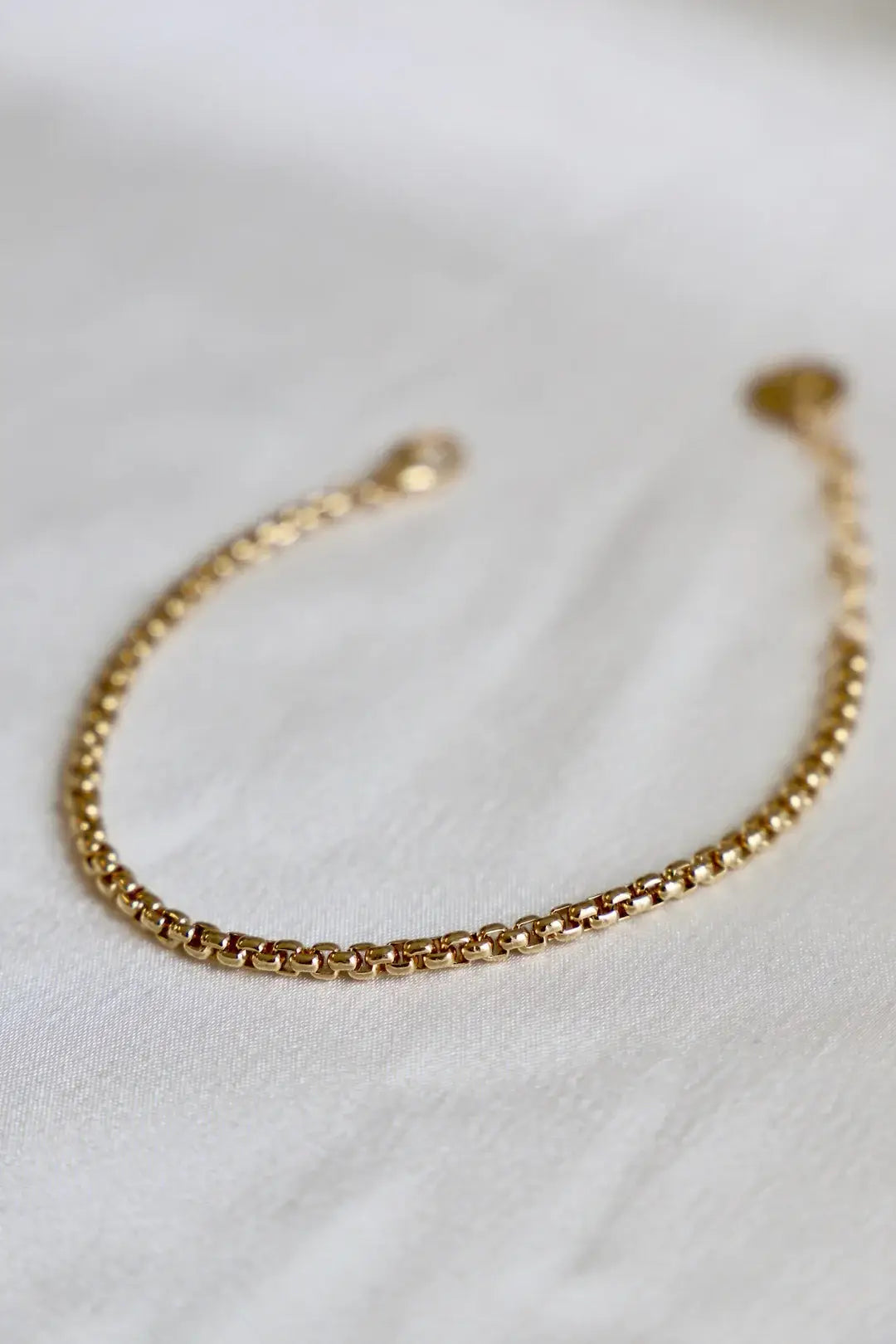 Holland Round Box Chain Bracelet in Gold