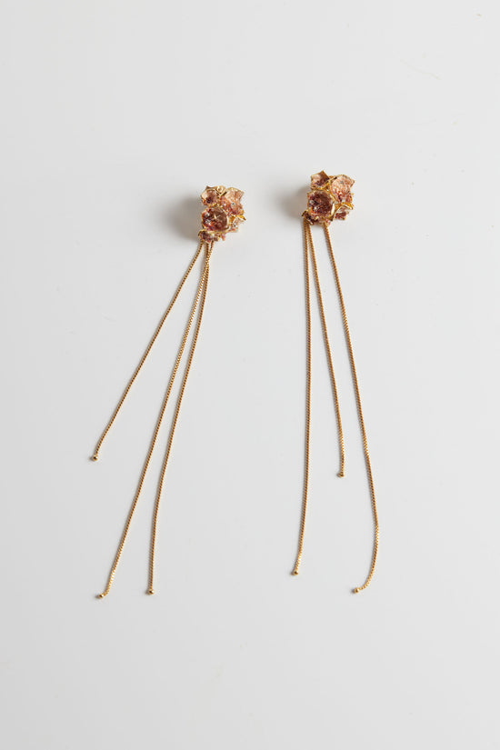 Galaxea Earrings