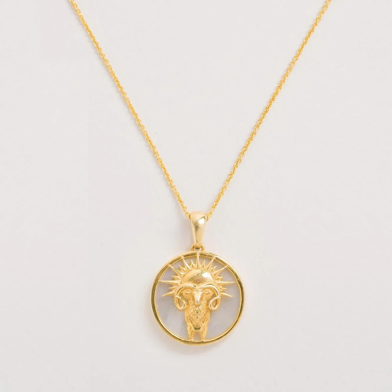 Aries necklace on a white background
