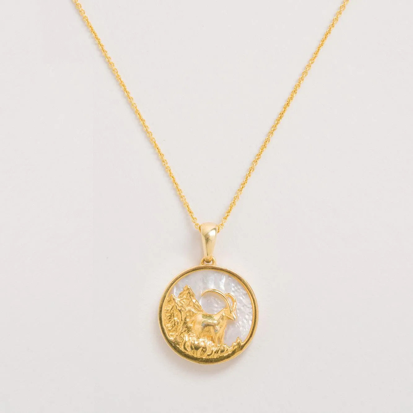 Capricorn necklace on a white background