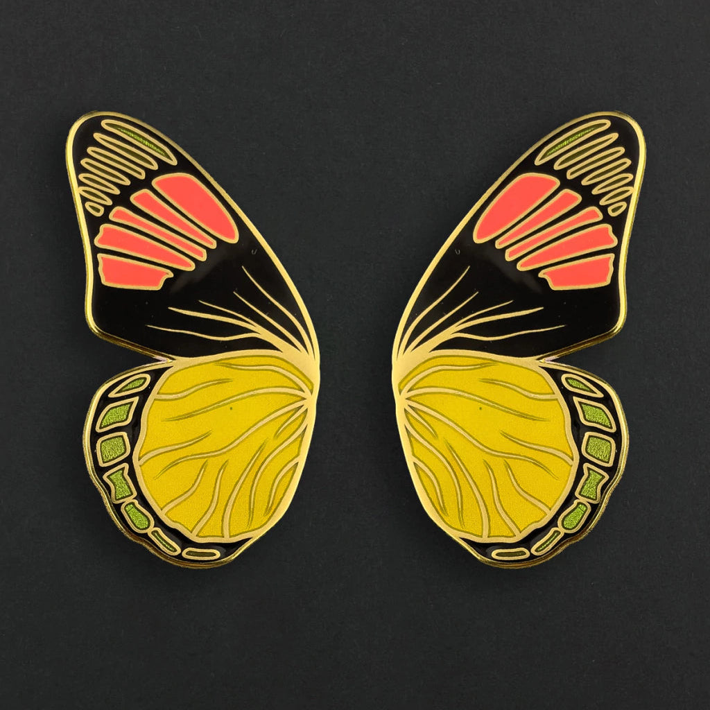 Butterfly wing-shaped earrings on a black background
