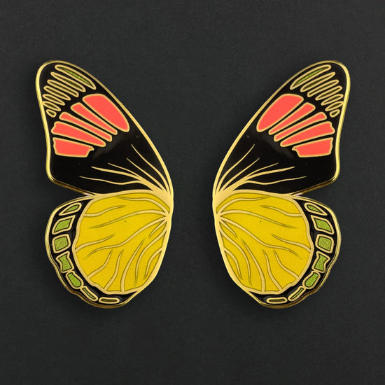 Butterfly wing-shaped earrings on a black background