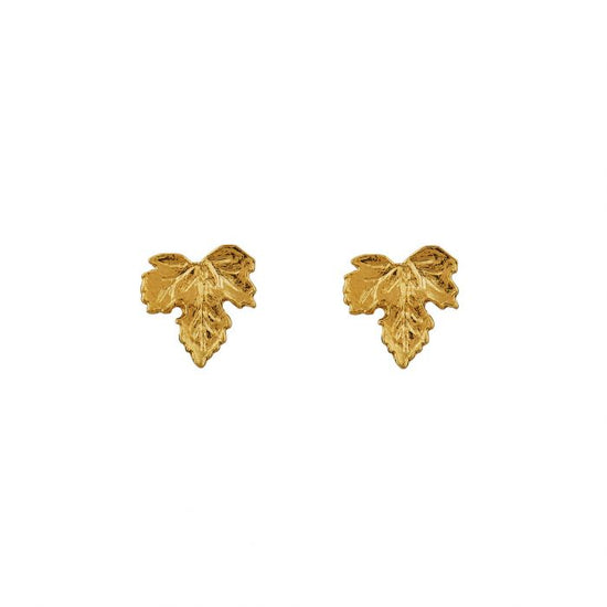 front view of the vine leaf stud earrings on a white background