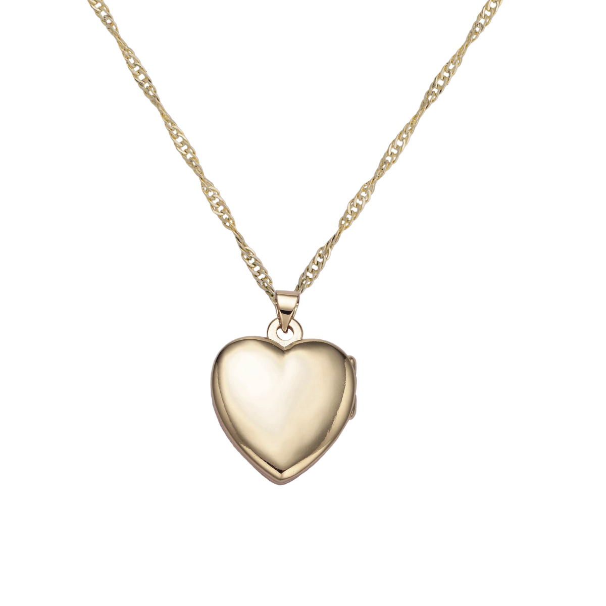 Gold Filled Heart Locket Necklace